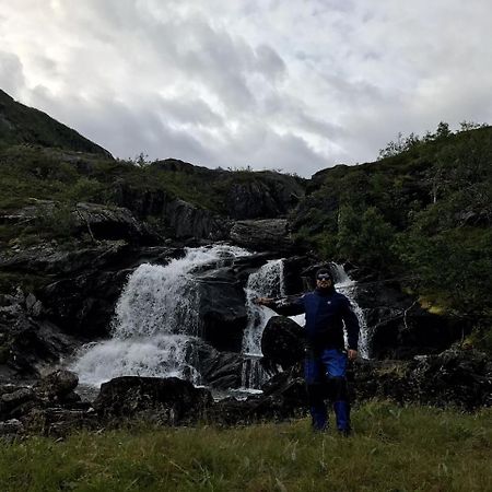 Gullesfjord Camping Dış mekan fotoğraf