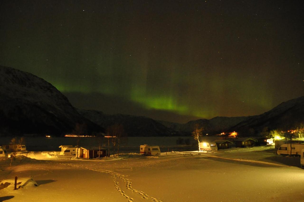 Gullesfjord Camping Dış mekan fotoğraf