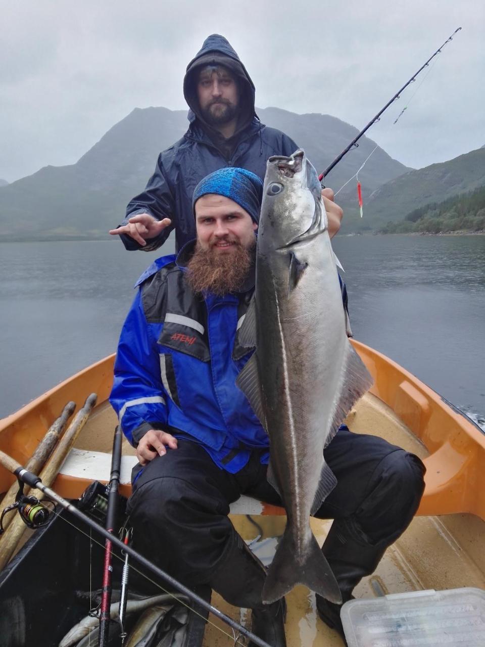 Gullesfjord Camping Dış mekan fotoğraf